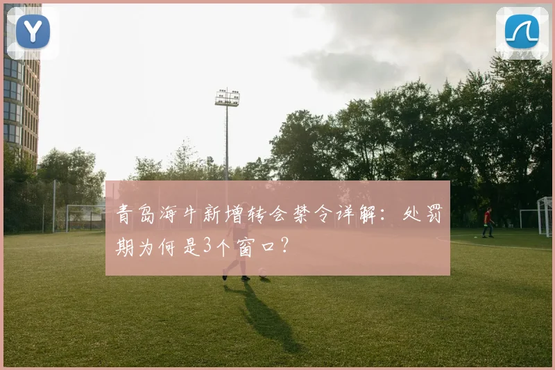 青岛海牛新增转会禁令详解：处罚期为何是3个窗口？